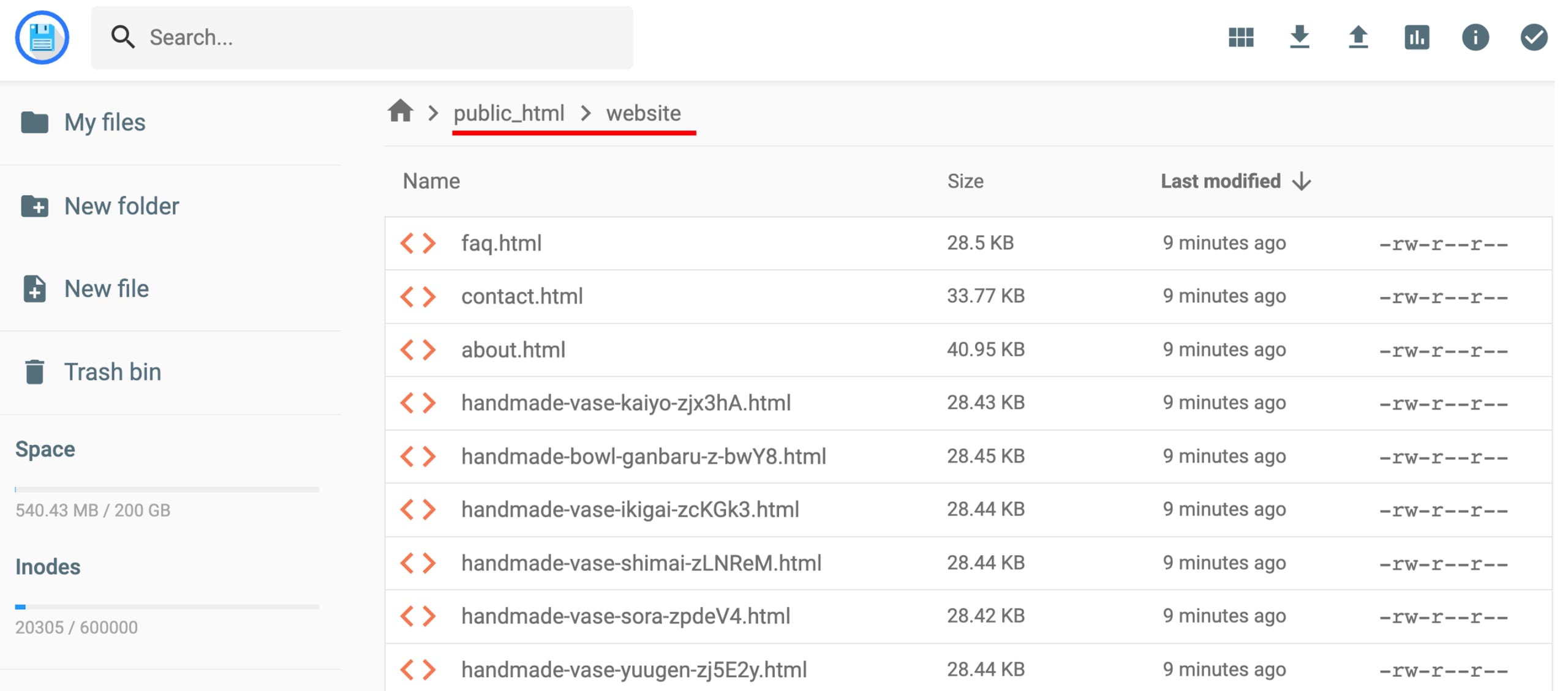 Website files in the file manager