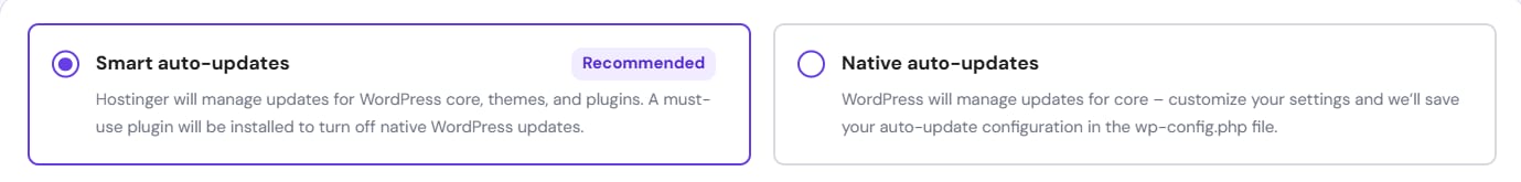Smart auto-updates option selected, recommended for WordPress core, themes, and plugins