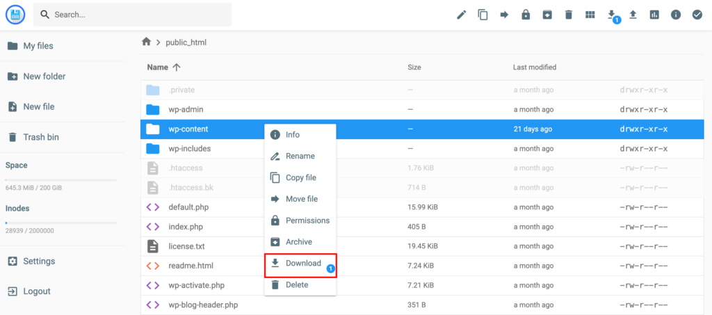 Download wp-content in File Manager