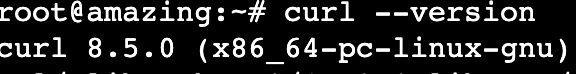 Terminal outputs cURL version