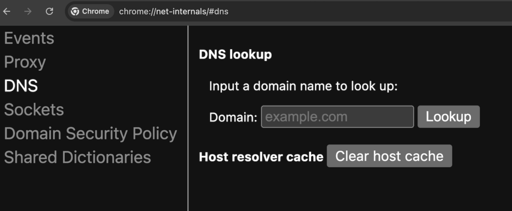 Chrome's DNS management page