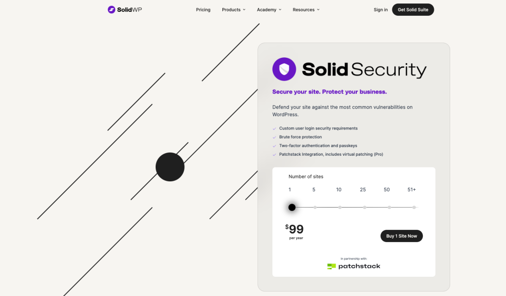 SolidWP homepage