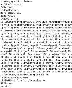 What Are Bash Variables And How To Work With Them On Linux