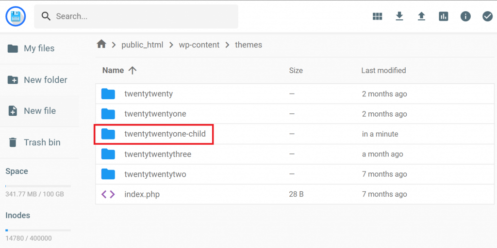 WordPress site themes directory in File Manager