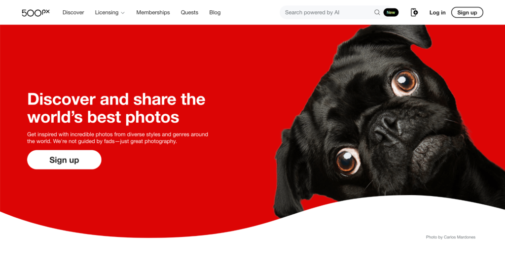 500px homepage
