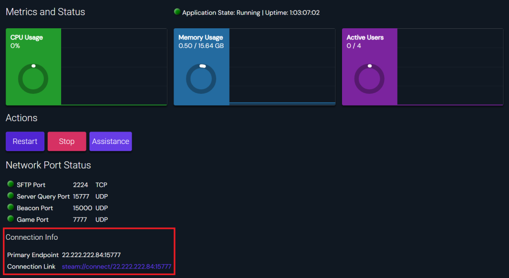 Finding the instance's connection details in Game Panel