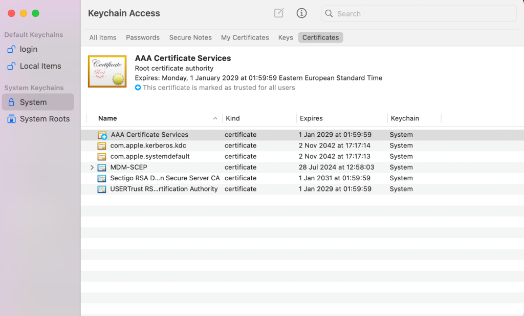 System section within Keychain Access on macOS