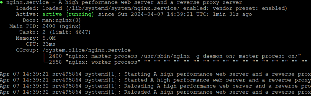 NGINX status in Terminal