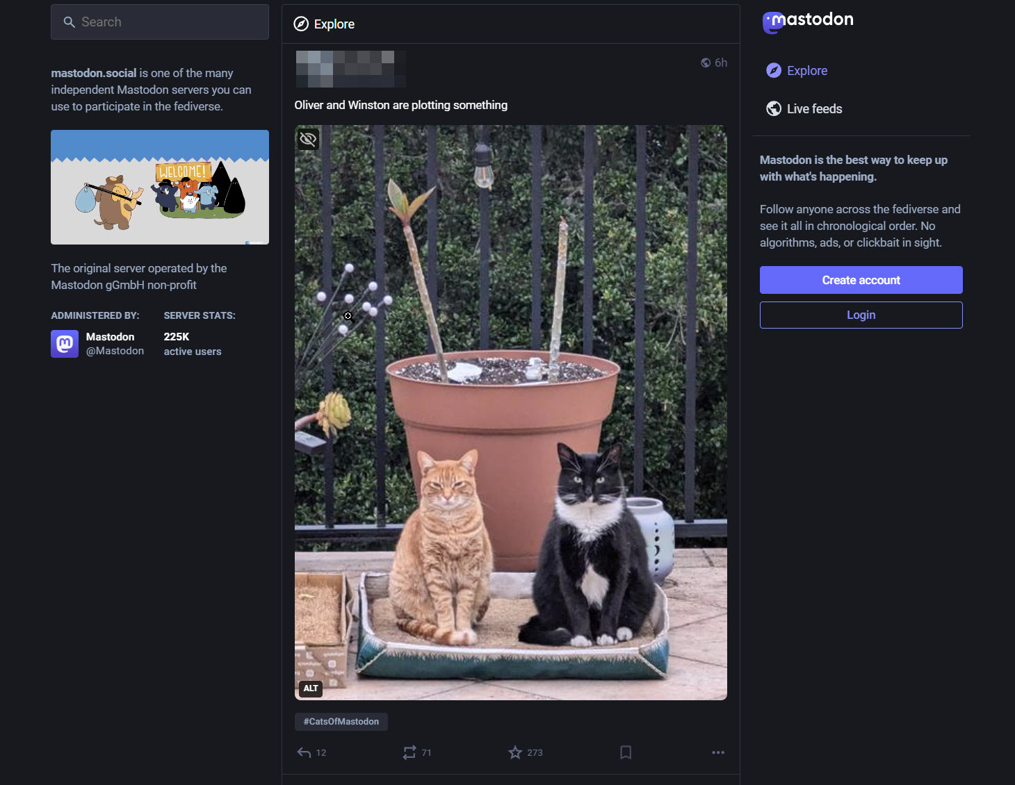 Uma captura de tela do feed do Mastodon, uma rede social descentralizada, mostrando uma postagem com botões de ação abaixo.