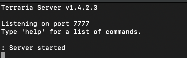 Terminal indicates that Terraria server has started