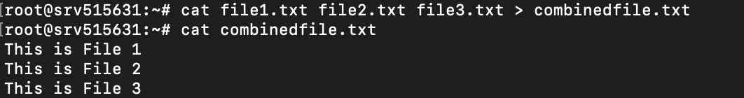 How to Use the Linux cat Command With Examples