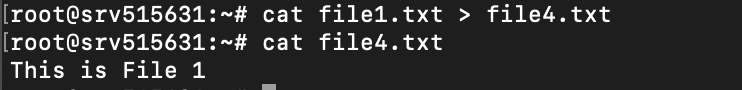Terminal window showing the output of the cat command to redirect data in file1 to file4