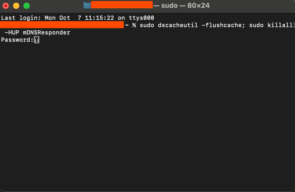 Flushing DNS cache via the Terminal app in macOS
