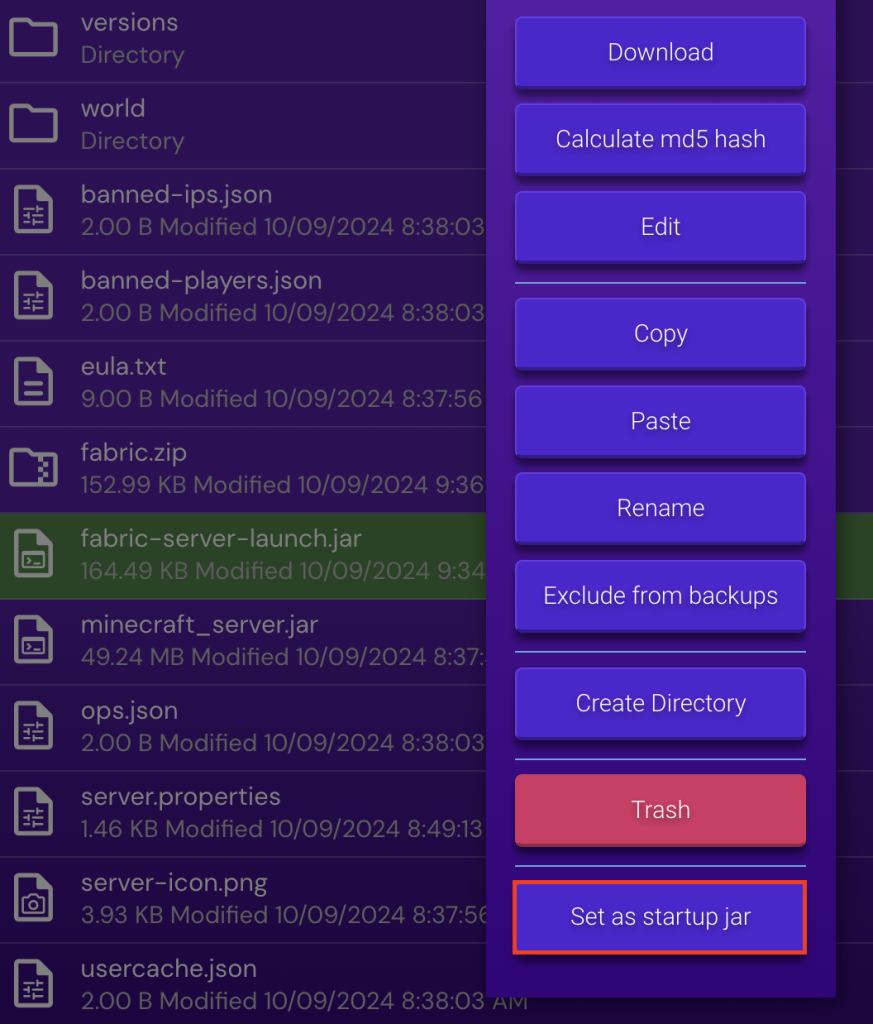 The Set as startup jar button in the File Manager menu of Game Panel