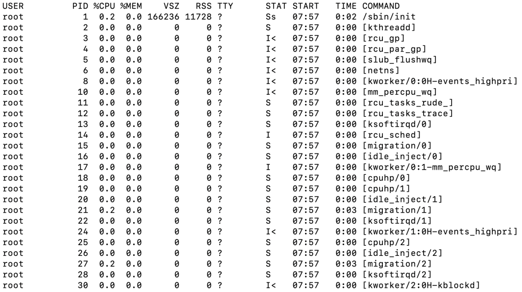 The ps aux command's output in the terminal