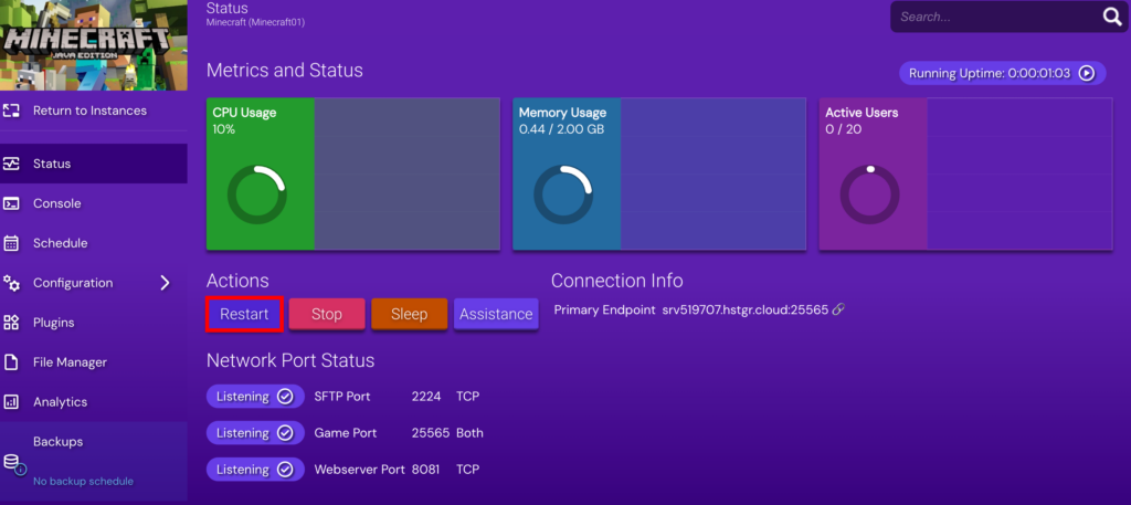 Restarting minecraft instance on hostinger game panel
