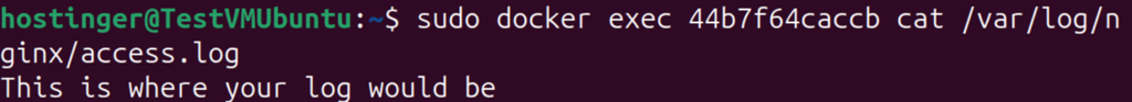 Terminal window displaying docker exec usage to return logs