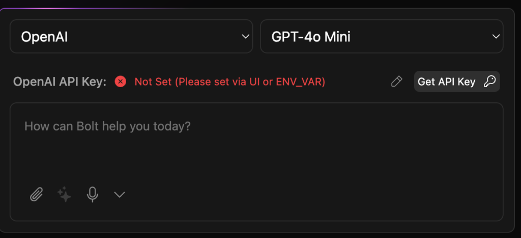 Bolt.new's API configuration on the dashboard