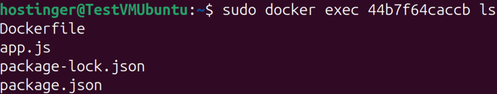 Terminal window displaying outputs of ls command executed on Docker container