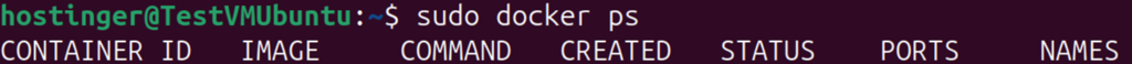 Terminal window showing empty results of docker ps