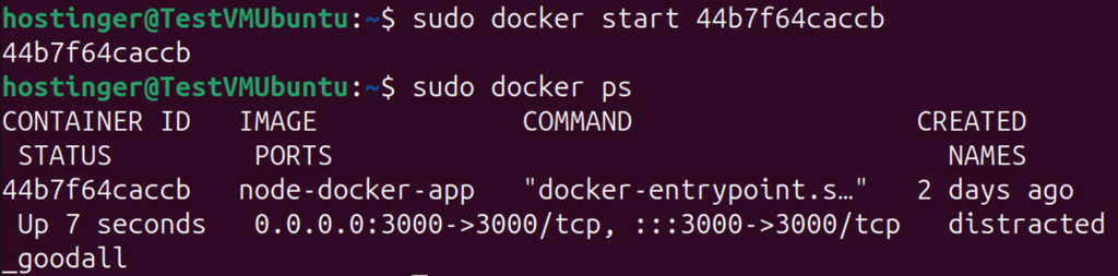 Terminal window showing docker start command and the container shown in docker ps output