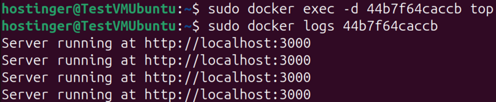 Terminal window displaying usage of docker exec -d command