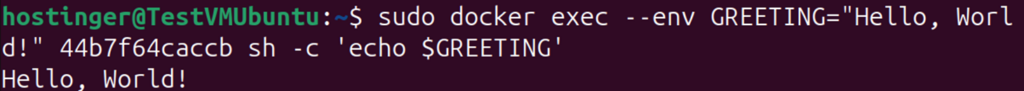 Terminal window displaying setting an environment variable and returning it with docker exec