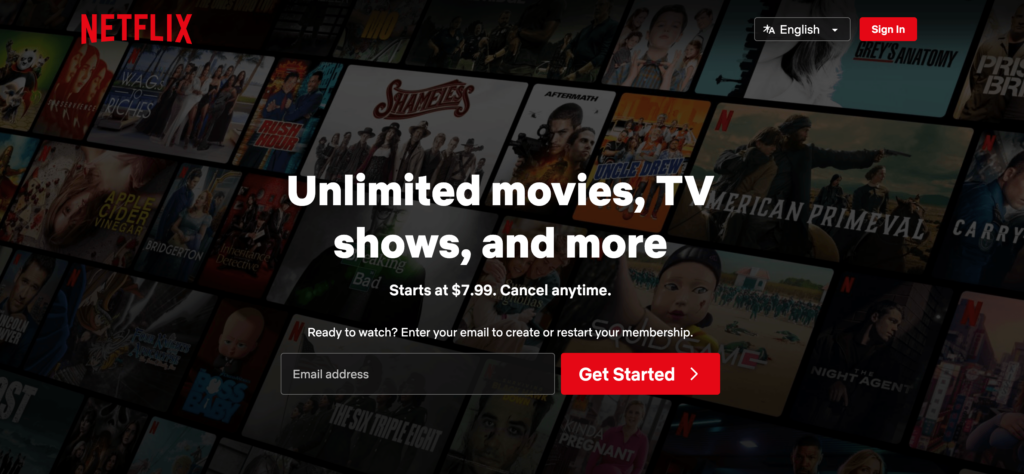 Netflix homepage
