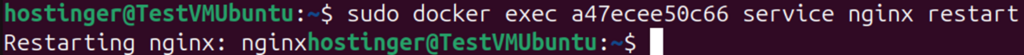 Terminal window showing usage of docker exec to restart nginx
