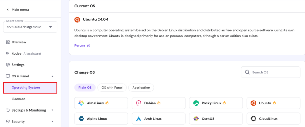 Operating system window open on VPS dashboard