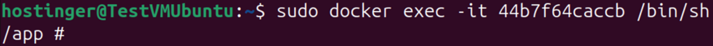 Terminal window displaying shell session started on a docker container