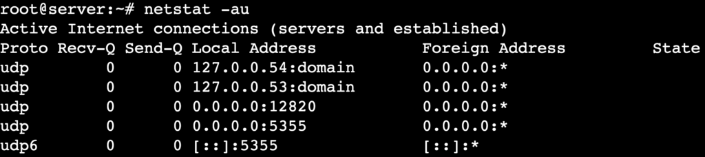 The netstat -au command's output shows active UDP connections