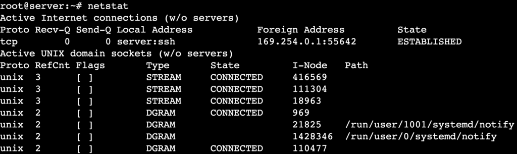 The netstat command's output shows active internet connections and UNIX domain sockets