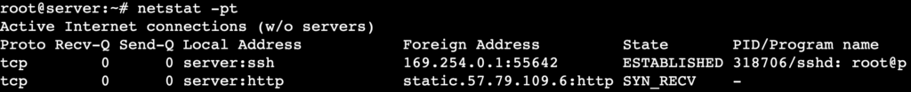 The netstat -pt command's output shows the programs associated with each network connection