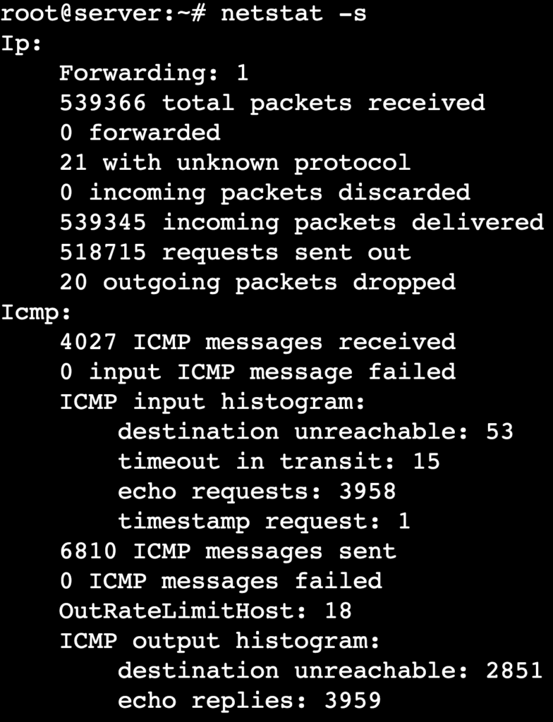 The netstat -s command's output shows statistics for different protocols