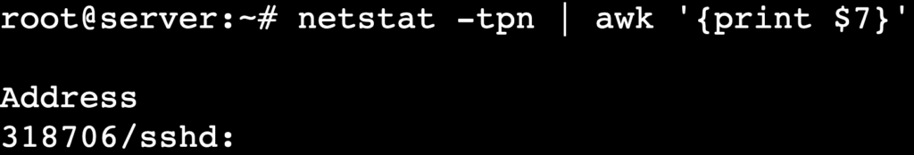 The netstat -tpn | awk '{print }' command's output shows PIDs and program names