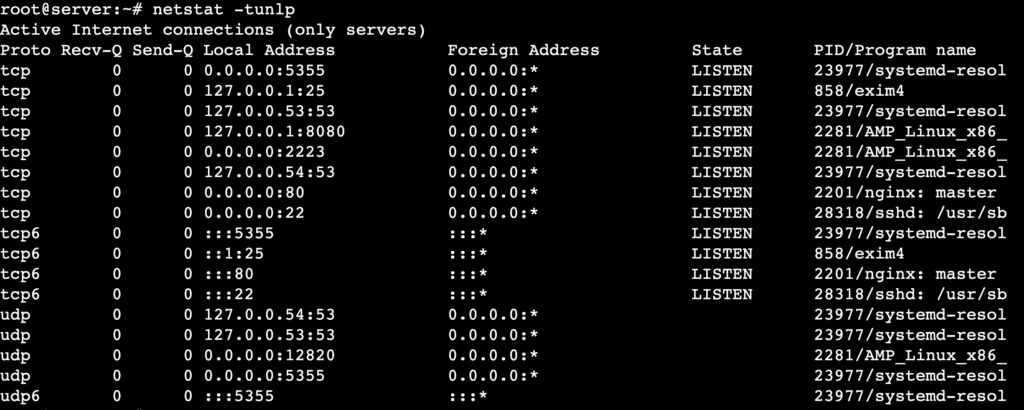 The netstat -tunlp command's output shows all listening TCP and UDP connections with numerical addresses and related processes