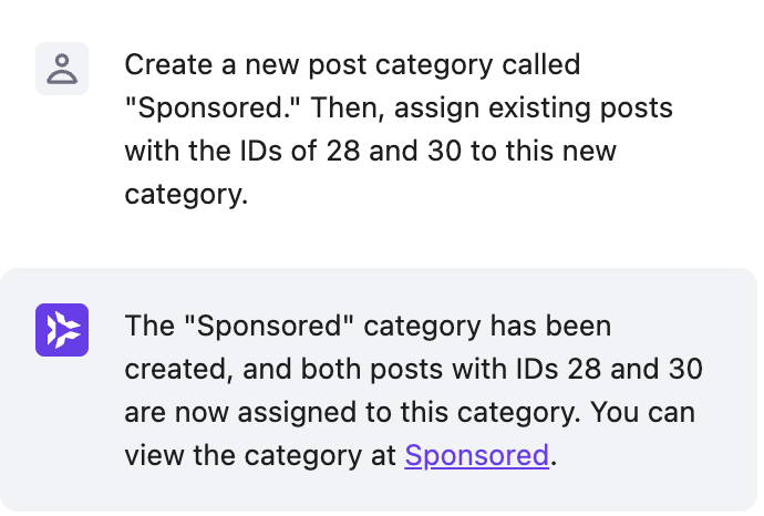 Kodee creates an manage a post category in WordPress