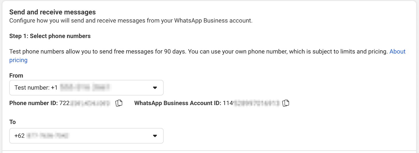 The Send and receive messages section on Meta's WhatsApp app configuration page