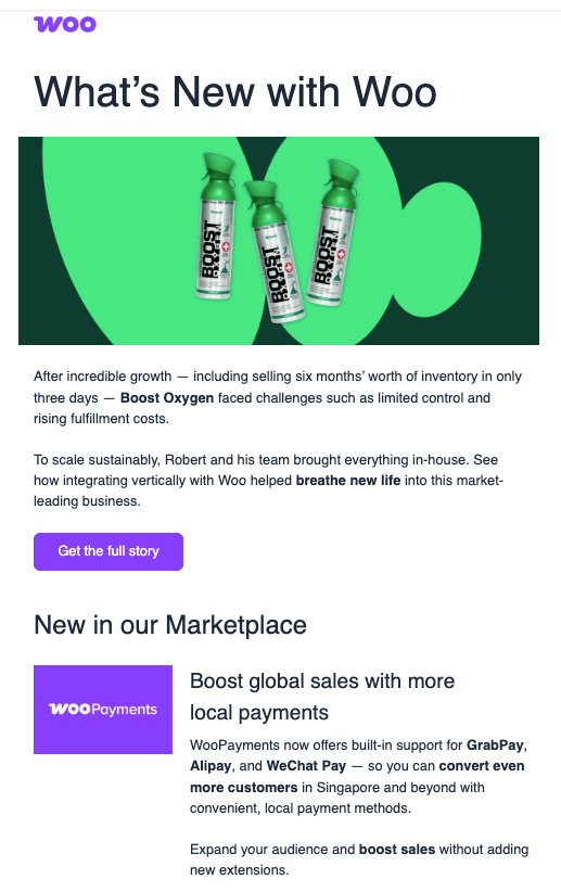WooCommerce newsletter